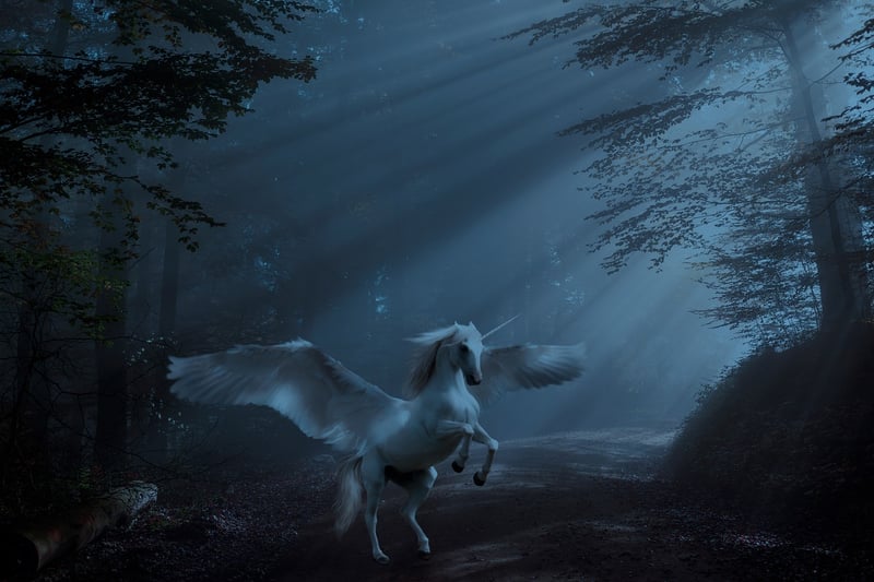 Unicorn Paradise Discovery